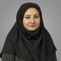 Somayeh Irajpour