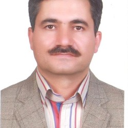 محسن بولحسنی